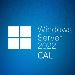 Microsoft Server 2022 Lisansı